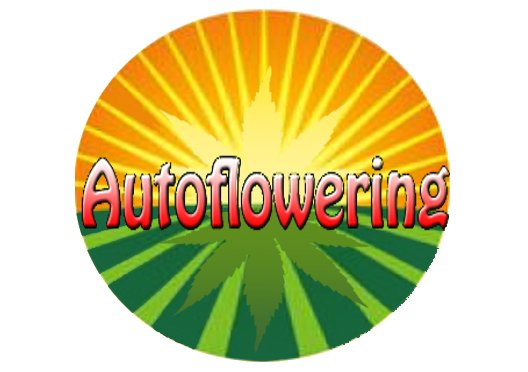 AUTOFLO1.jpg