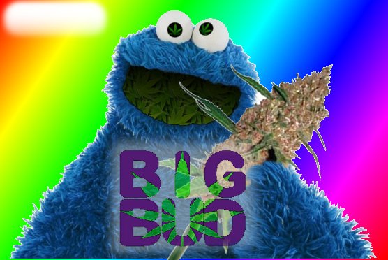BigBud.jpg