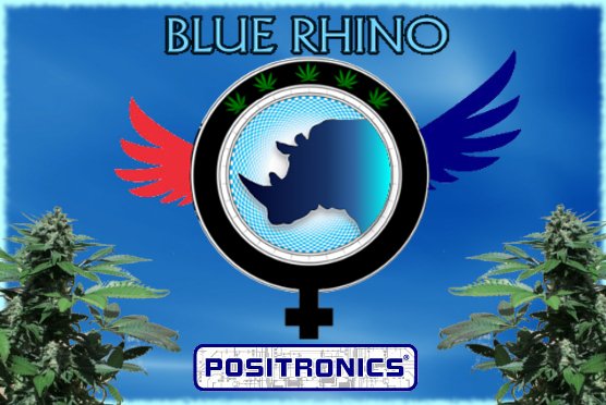 BlueRhino.jpg
