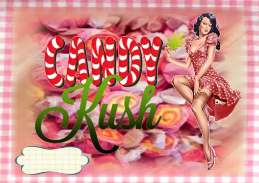 CandyKush1.jpg