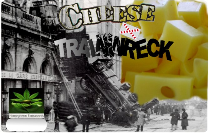 CheeseXTrainwrek.jpg