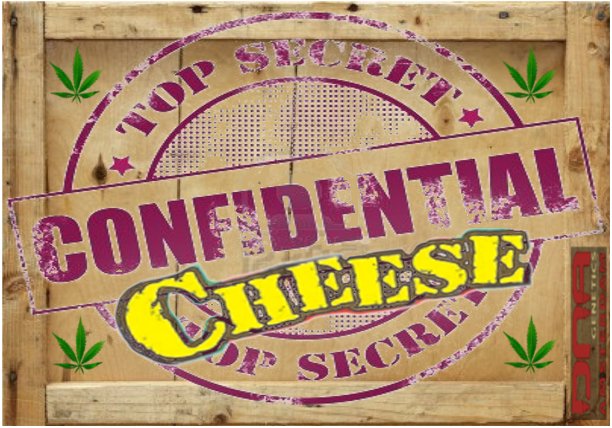 ConfidentialCheese.jpg