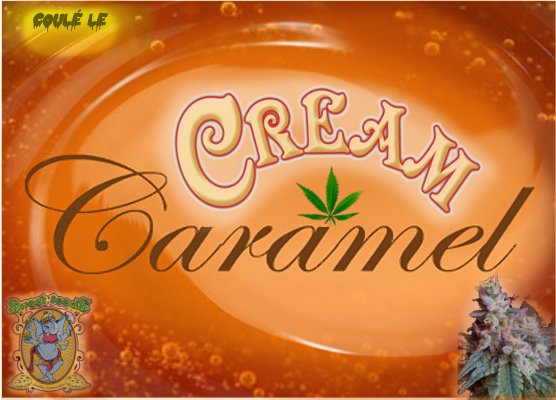 CreamCraramel.jpg