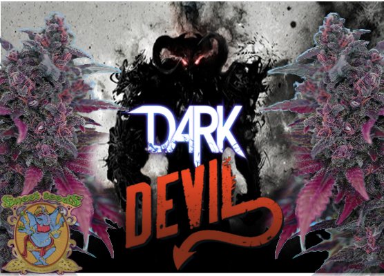 DarkDevil.jpg