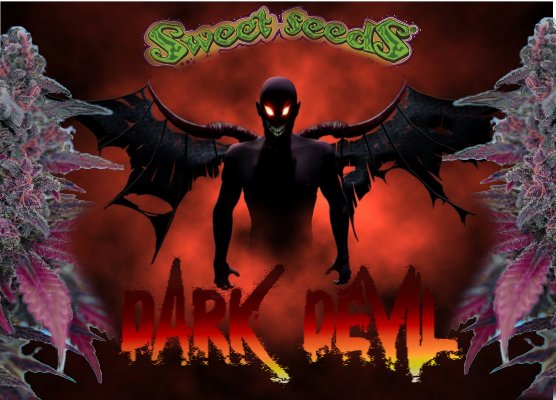 DarkDevil1.jpg