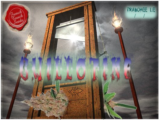 GUILLOTINE.jpg