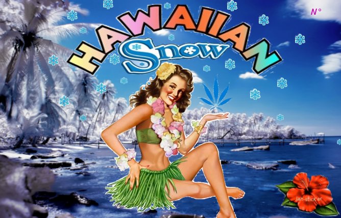 HawaiianSnow.jpg