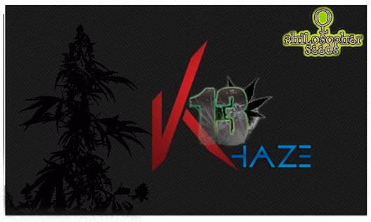 K13Haze.jpg