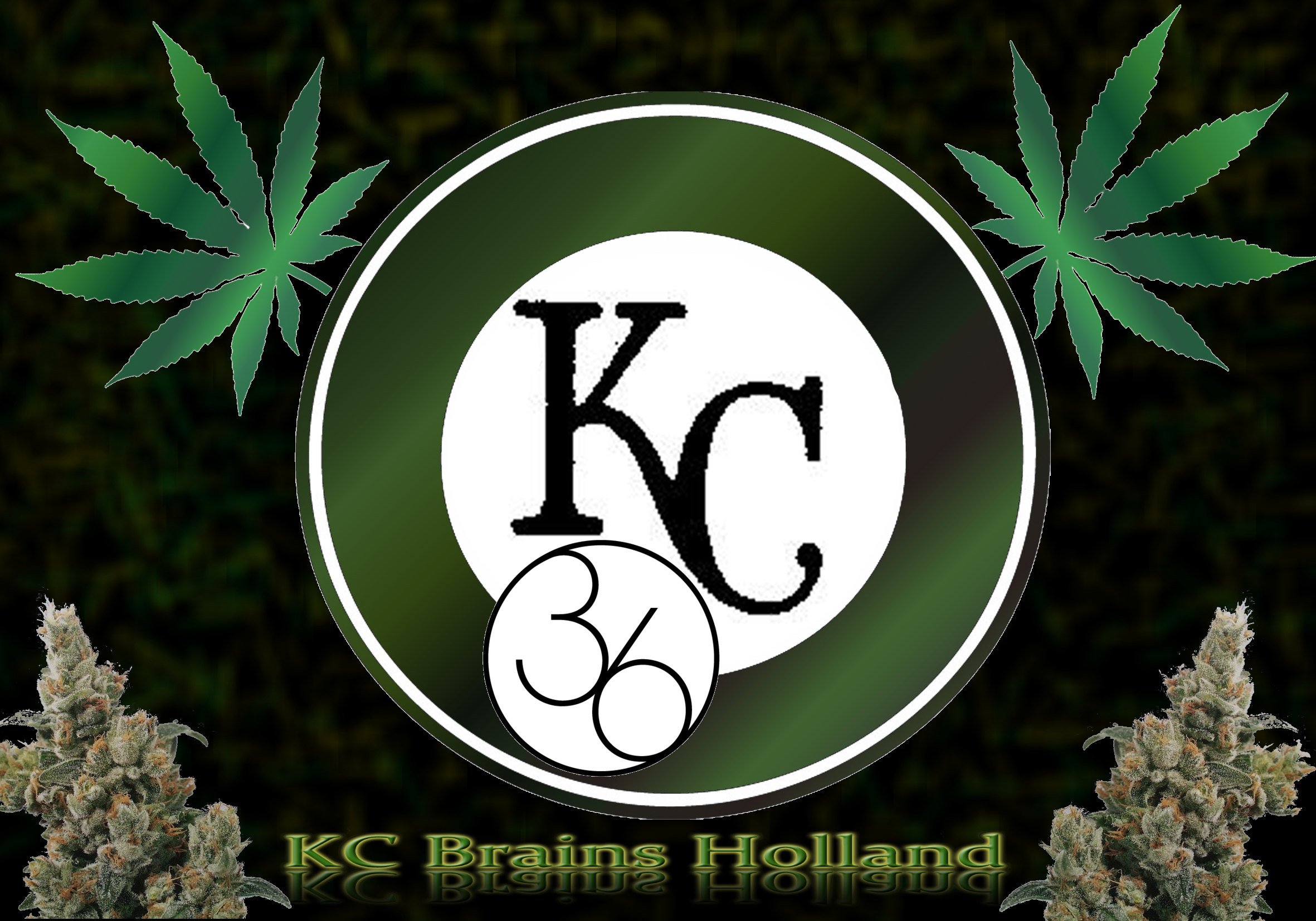 KC36.jpg