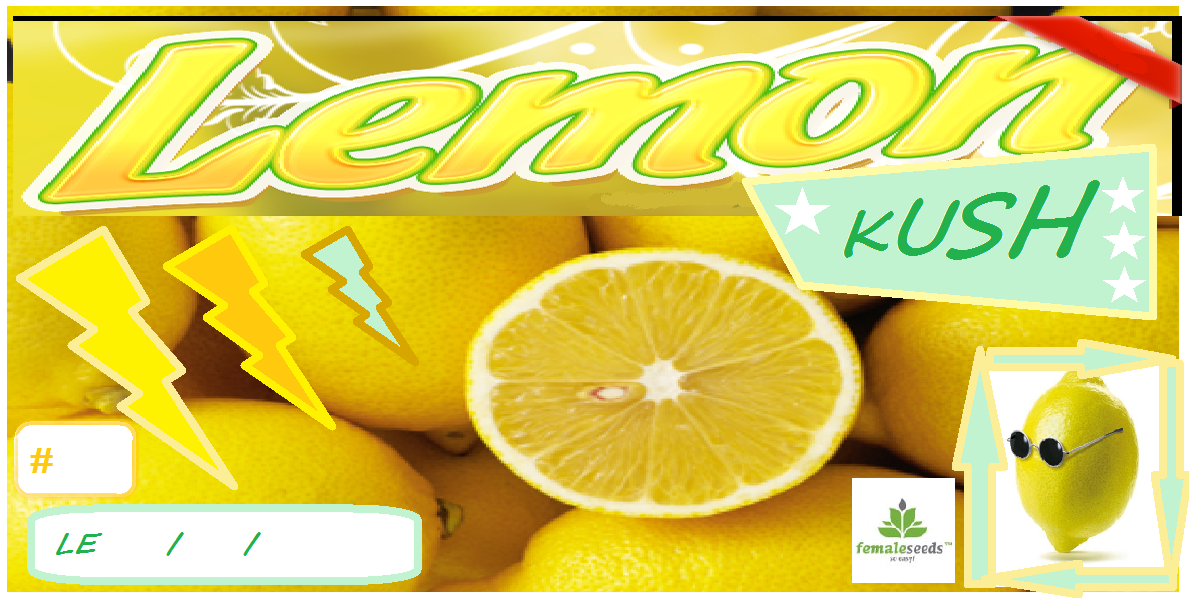 LEMONKUSH.png