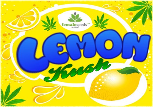 LemonKush3.jpg