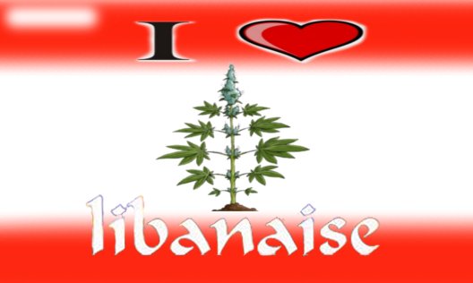 Libanaise.jpg
