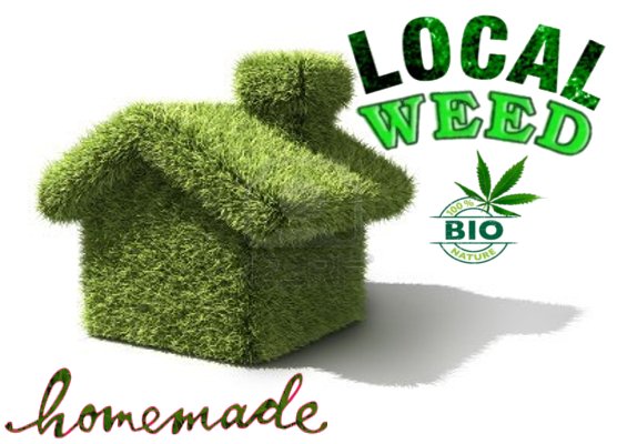 LocalWeed.jpg