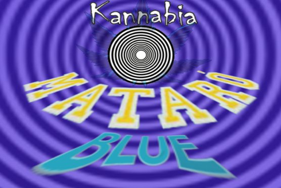 MataroBlue.jpg