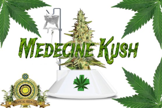 MedecineKush.jpg