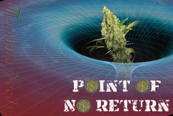 PointOfNoReturn.jpg