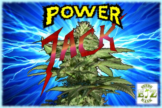 PowerJack.jpg