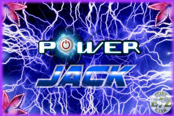 PowerJack1.jpg