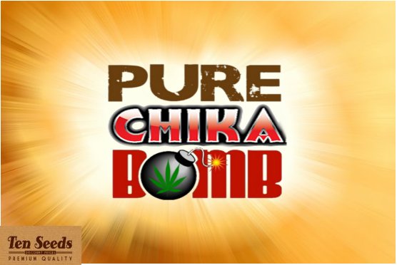 PureChikaBomb.jpg