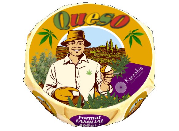 Queso.jpg