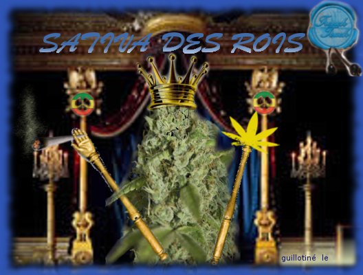 Sativadesrois.jpg