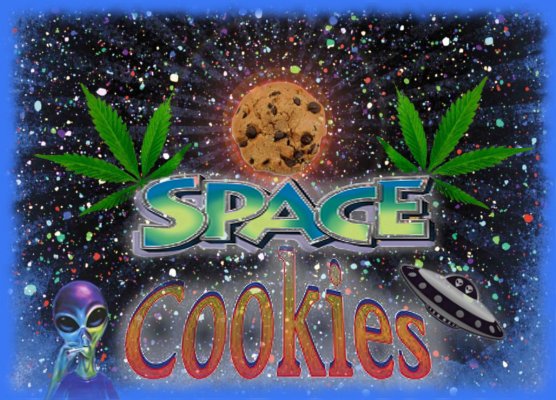SpaceCookies.jpg