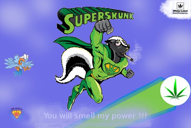 SuperSkunk.jpg