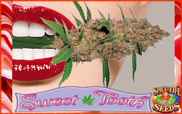 SweetTooth.jpg