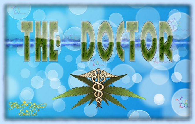 TheDoctor01.jpg