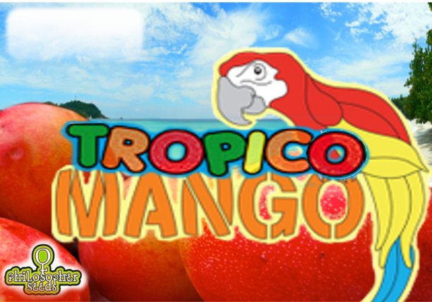 TropicoMango.jpg