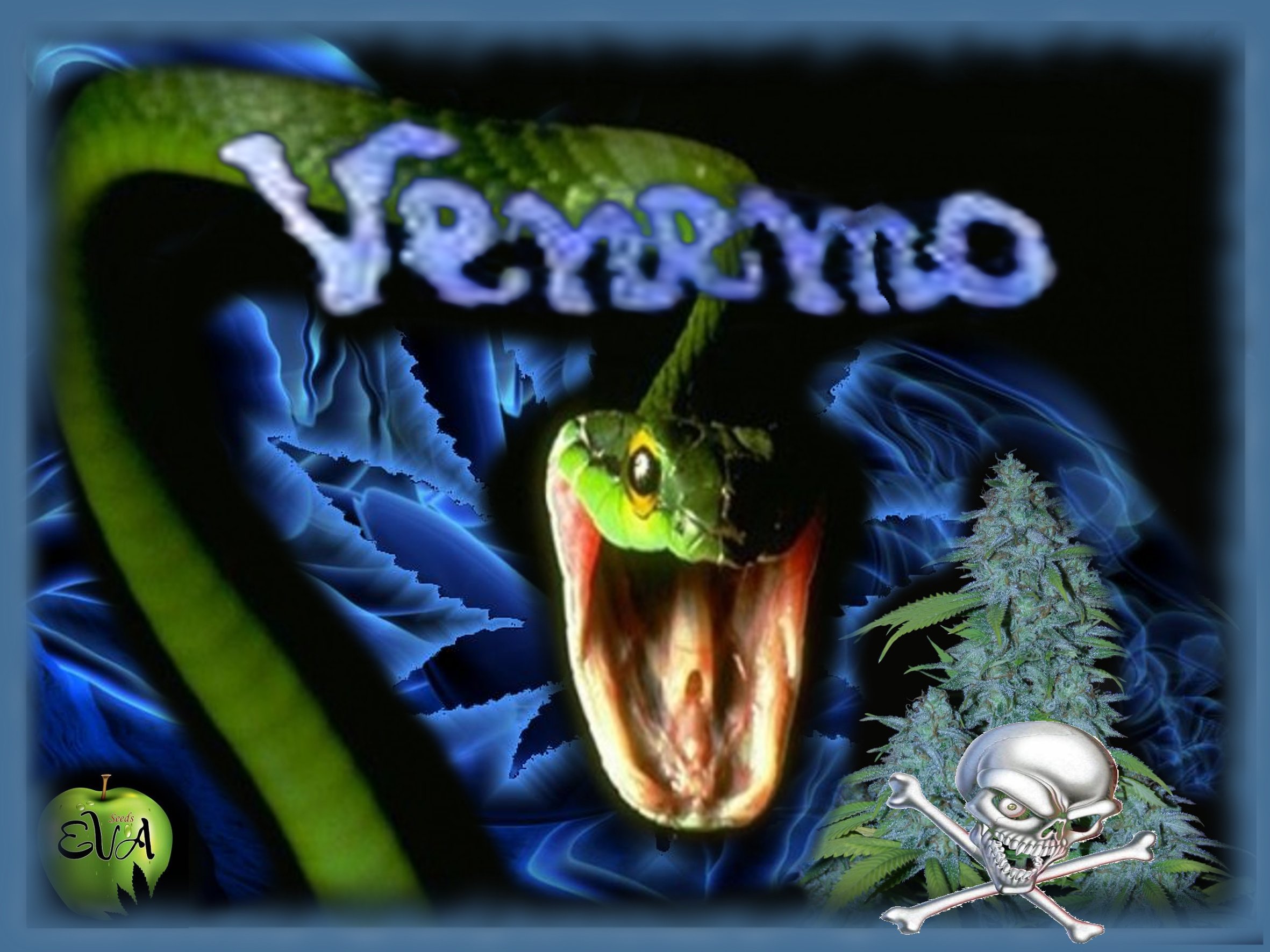 Venemo0.jpg