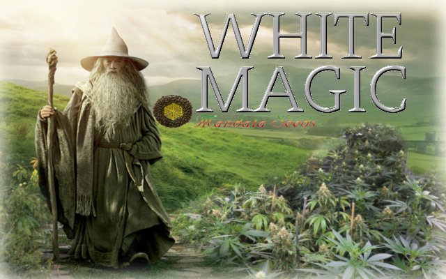 WHITEMAGIC.jpg