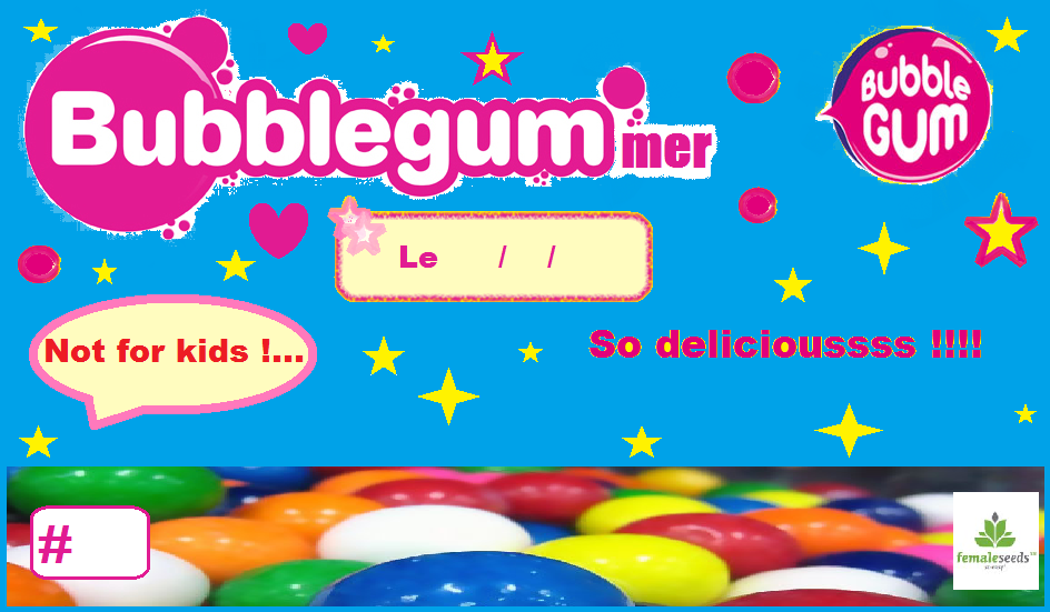 bubblegum1.png