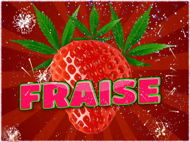 fraise.jpg