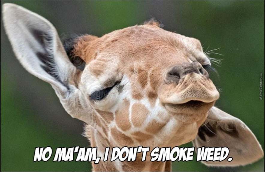 image.png.7941bdc9af0e12d702aa124d0ec8403e.png