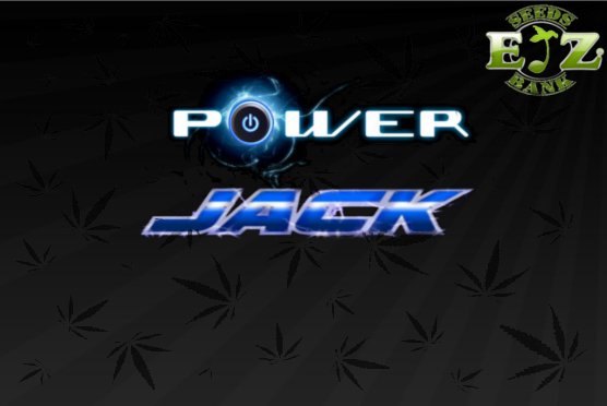 powerjack02.jpg