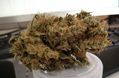 Strawberry Banana DNA/Reserva Privada