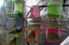 2018-06-28_19_20_32.jpg