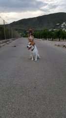 20180528_204004.jpg