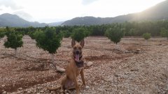 20180602_204834.jpg