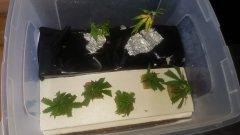 20180605_172438.jpg