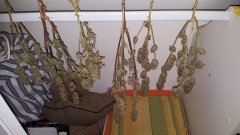 20180606_074718.jpg
