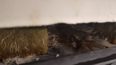 20180617_093130.jpg