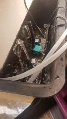 20180620_083905.jpg