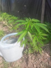 20180623_174241.jpg