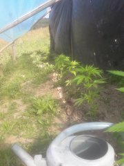 20180623_174246.jpg