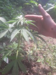 20180623_174318.jpg