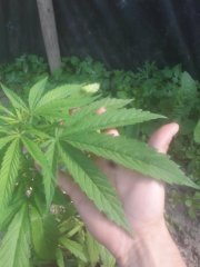 20180623_174911.jpg