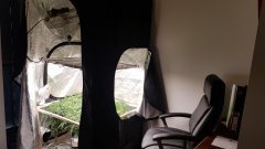 20180624_180512.jpg
