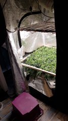 20180624_180557.jpg